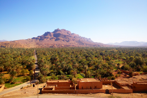 Read more about the article Circuit de 4 jours de Marrakech au désert