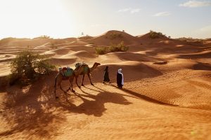 Lee más sobre el artículo 3 días desde Marrakech a las dunas de Erg Chegaga