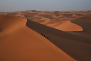 Read more about the article 5 jours randonnée chamelière dans le désert